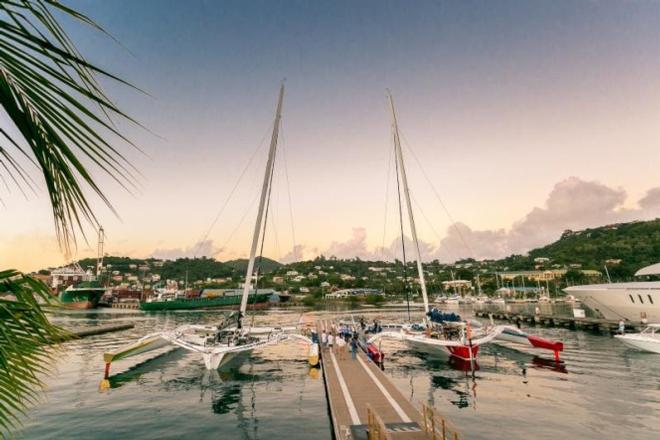 Side-by-side as the sun sets. The crew of Phaedo3 and Maserati compare their race on the dock at Camper and Nicholsons Port Louis Marina, Grenada after the finish of the RORC Transatlantic Race © RORC/Arthur Daniel
